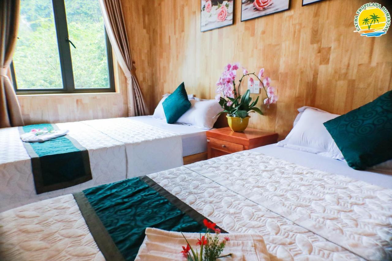 Cat Ba Vintage Homestay Cat Ba Island Exterior photo