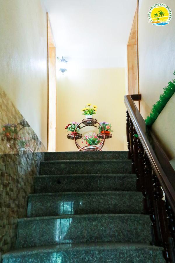 Cat Ba Vintage Homestay Cat Ba Island Exterior photo